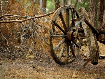 Kart Wheel